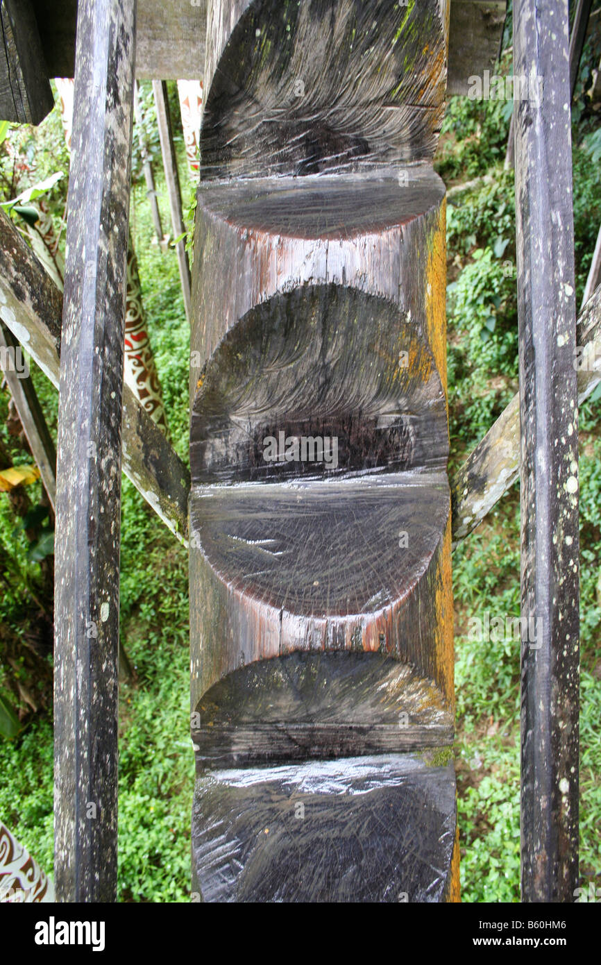 Native Ladder Traditional ladder of natives in Sarawak, Malaysia. It is carved out ...