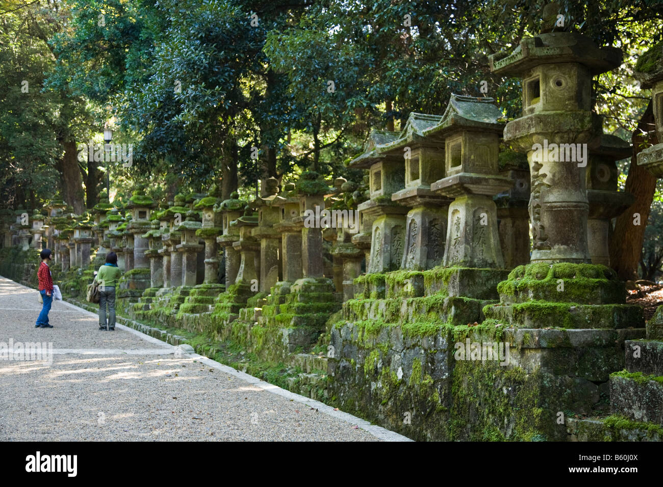 Stone Lanterns at Kasuga Shrine Nara Stock Photo