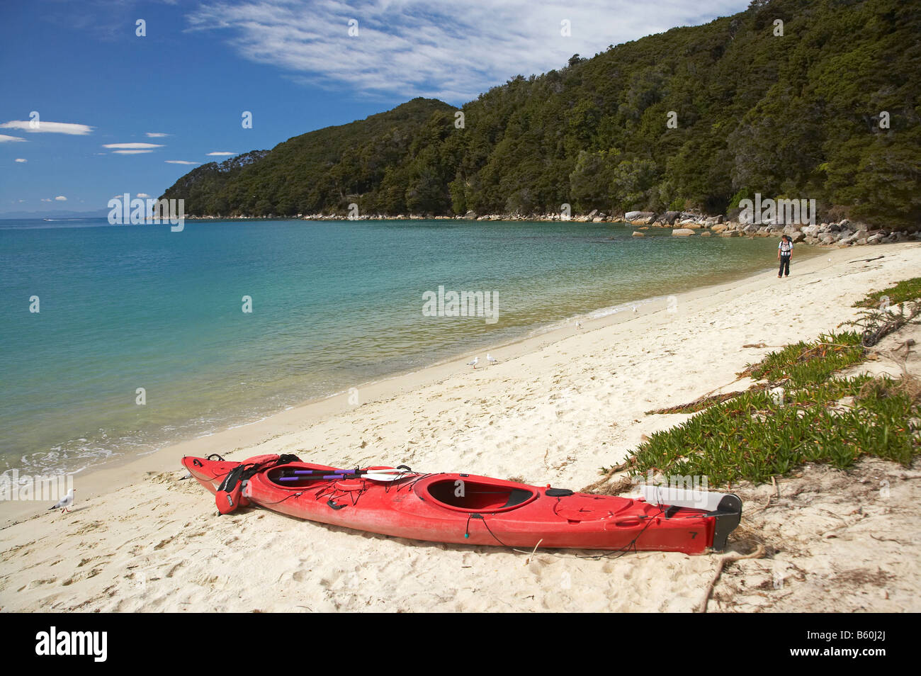 Sea Kayak Bark Bay Abel Tasman National Park Nelson Region South Island New Zealand Stock Photo