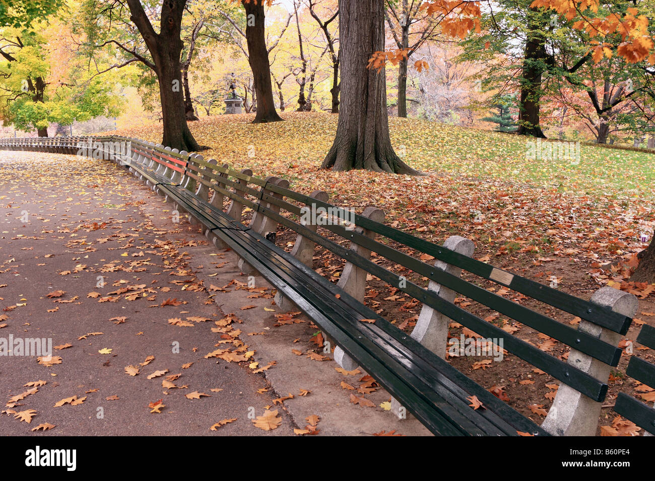 Park benches along sidewalk in Central Park in Autumn Stock Photo Alamy
