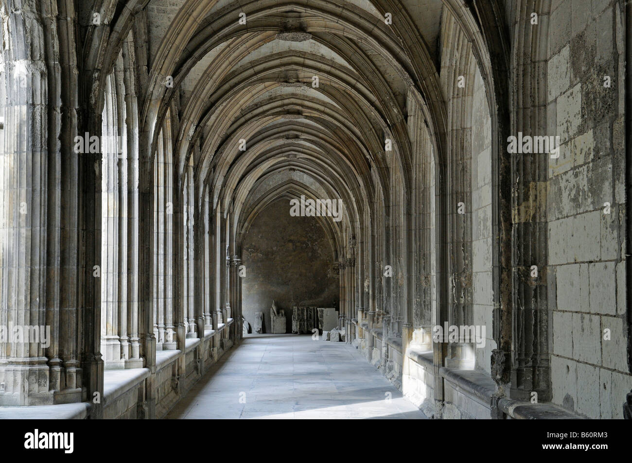 Cloister, Cloitre de la Psalette, Saint Gatien Cathedral, Tours, Centre, France, Europe Stock Photo