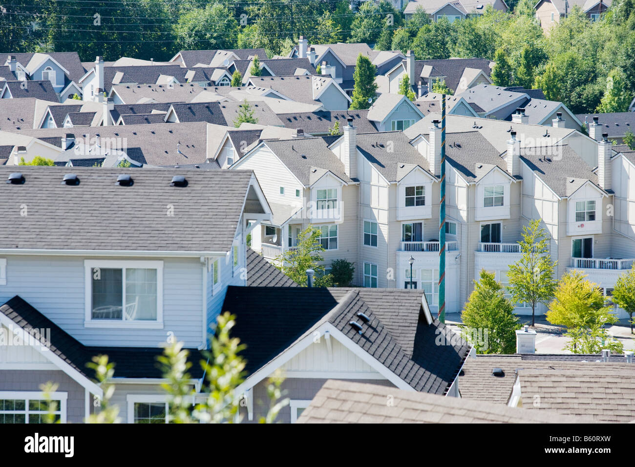 High angle view of a housing development in Issaquah WA United States Stock Photo