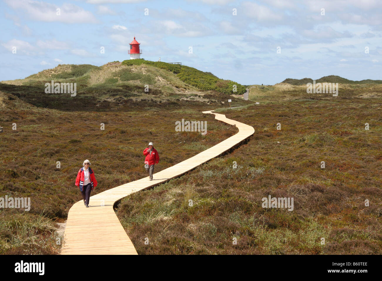 Wooden walkway through a heath landscape, North Sea, Amrum Island, Schleswig-Holstein Stock Photo