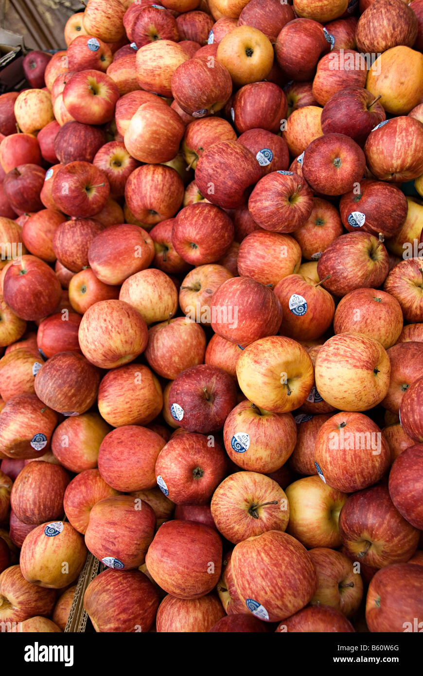 red apple group of apples Stock Photo