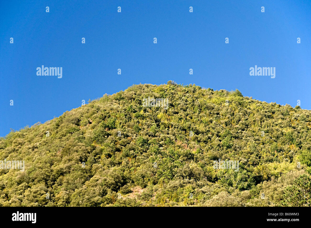 a green hilltop on a bright sunny day in the south of france useful for ...
