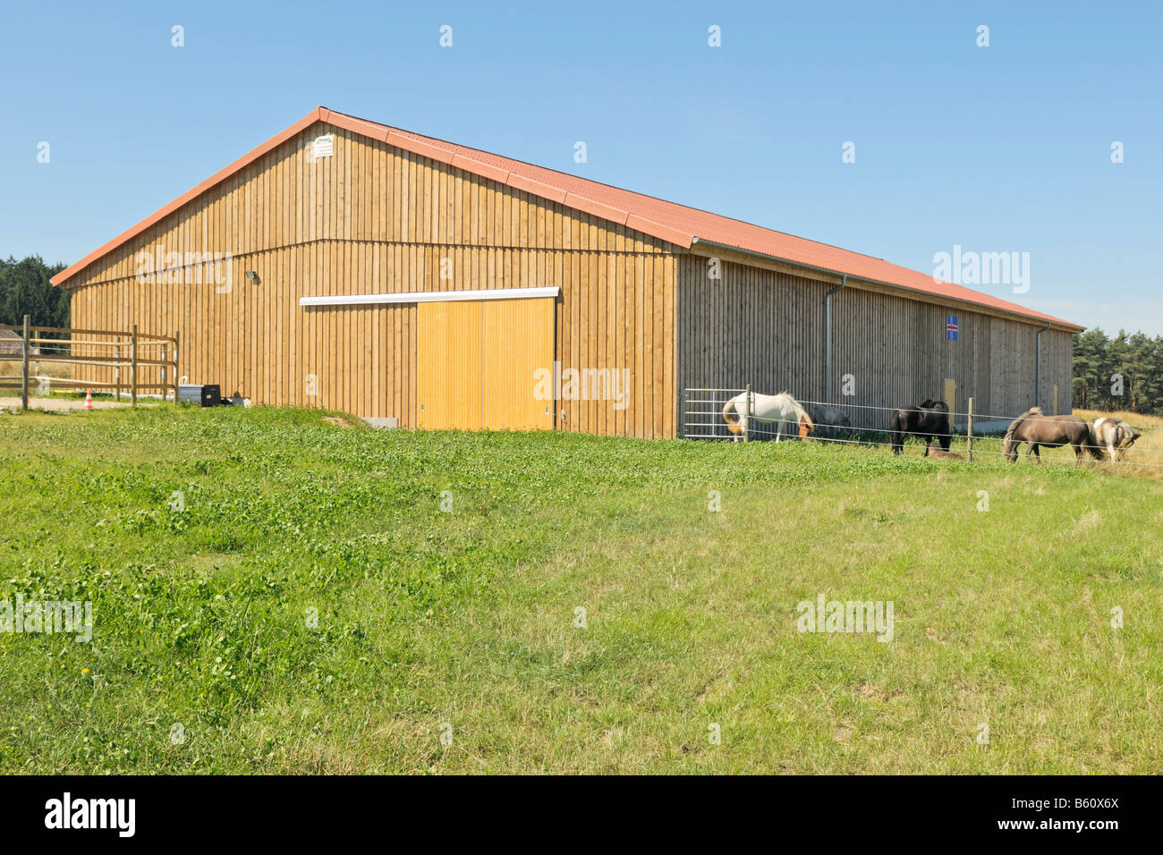 Riding hall and paddock with some ponies in it Stock Photo