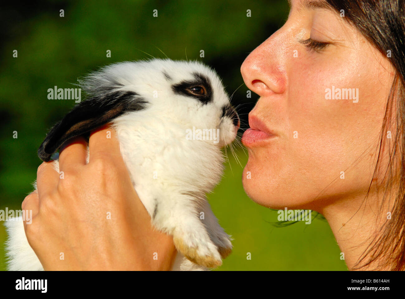 Young woman kissing a Pygmy Rabbit (Brachylagus idahoensis) Stock Photo