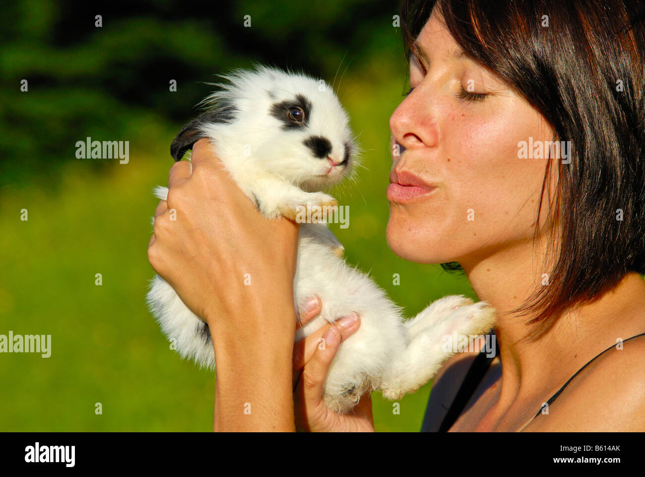 Young woman kissing a Pygmy Rabbit (Brachylagus idahoensis) Stock Photo