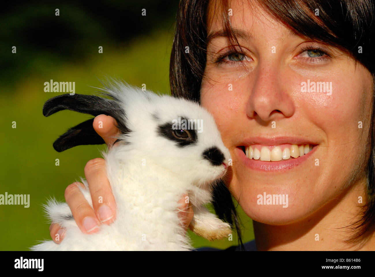 Young woman stroking a Pygmy Rabbit (Brachylagus idahoensis) Stock Photo