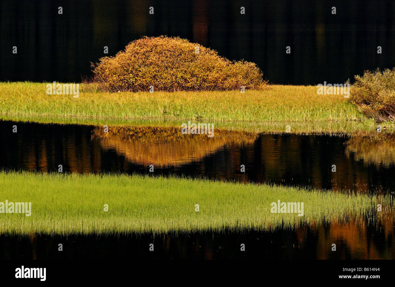 Water reflections in autumn Stock Photo - Alamy