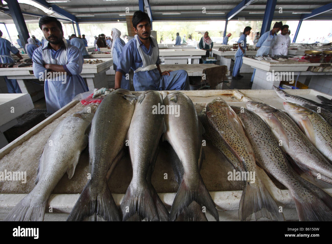 FISH MARKET IN DEIRA, DUBAI Stock Photo Alamy
