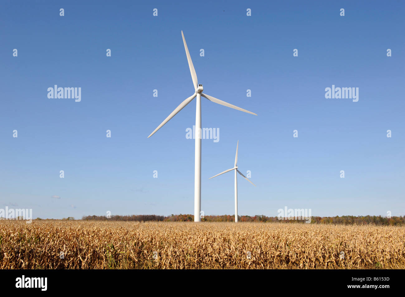 Minnesota wind turbine windmill on farm field generate electricity
