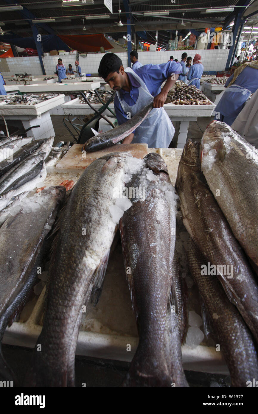 FISH MARKET IN DEIRA, DUBAI Stock Photo Alamy