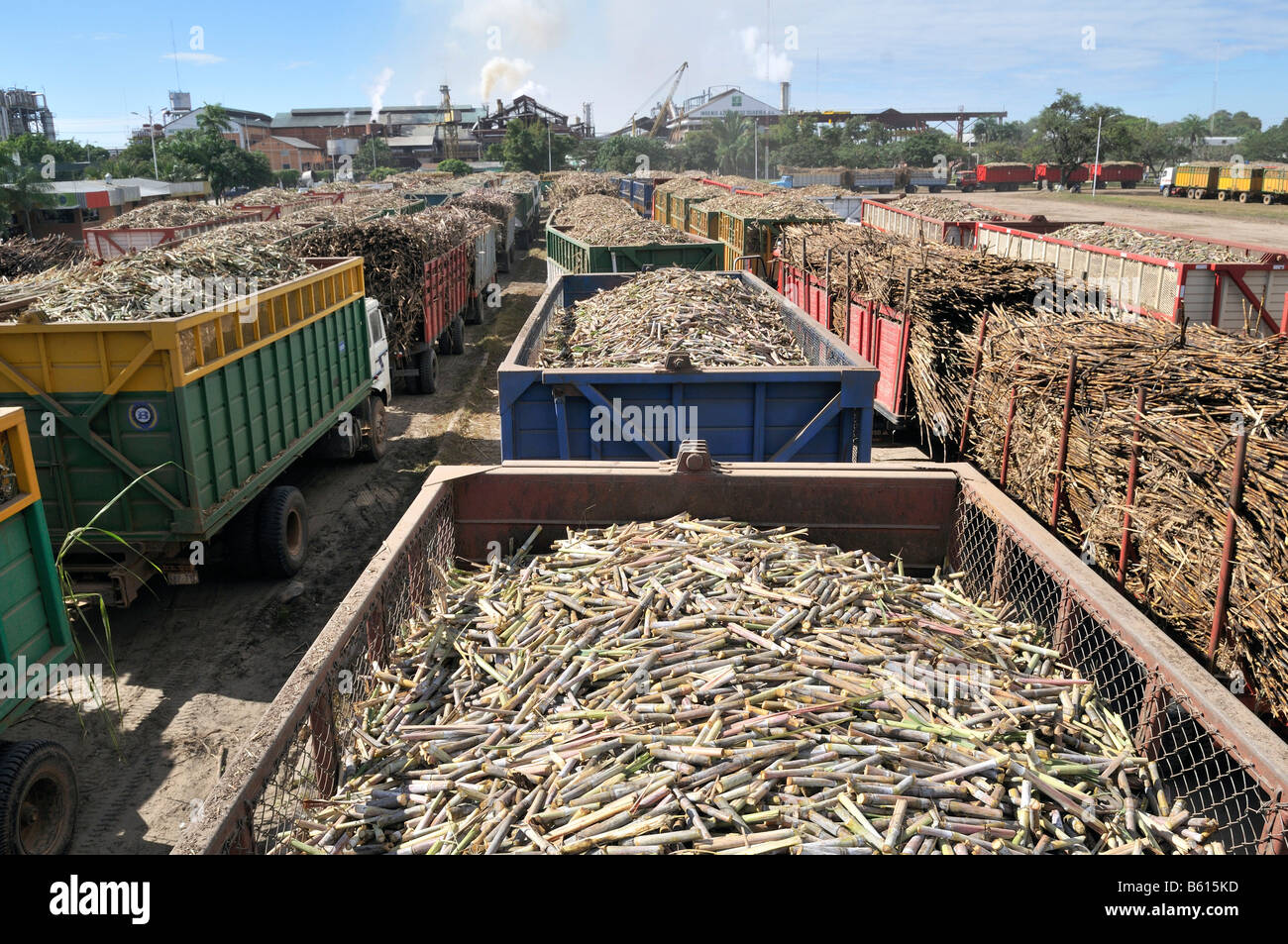 Trucks loaded with sugar cane outside a factory, used to produce ethanol and biodiesel, Montero, Santa Cruz, Bolivia Stock Photo