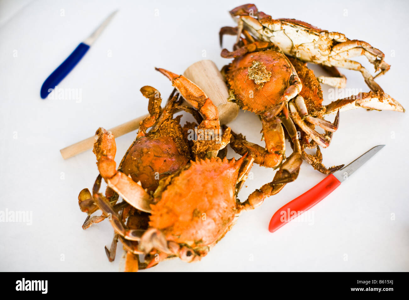 Steamed crabs covered in spices at a crab bake, in the Northern Neck