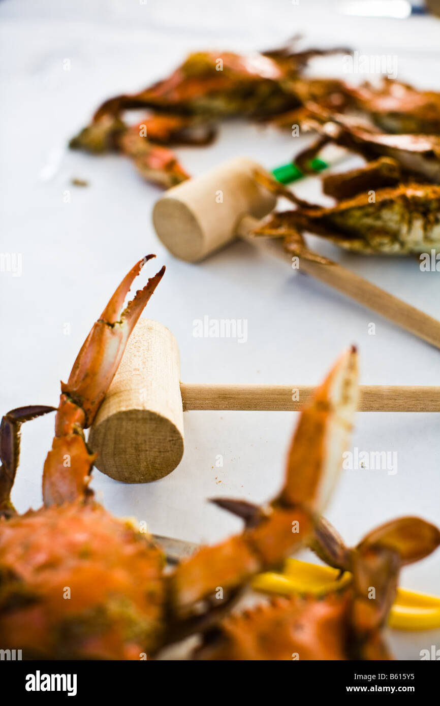Steamed crabs covered in spices at a crab bake, in the Northern Neck