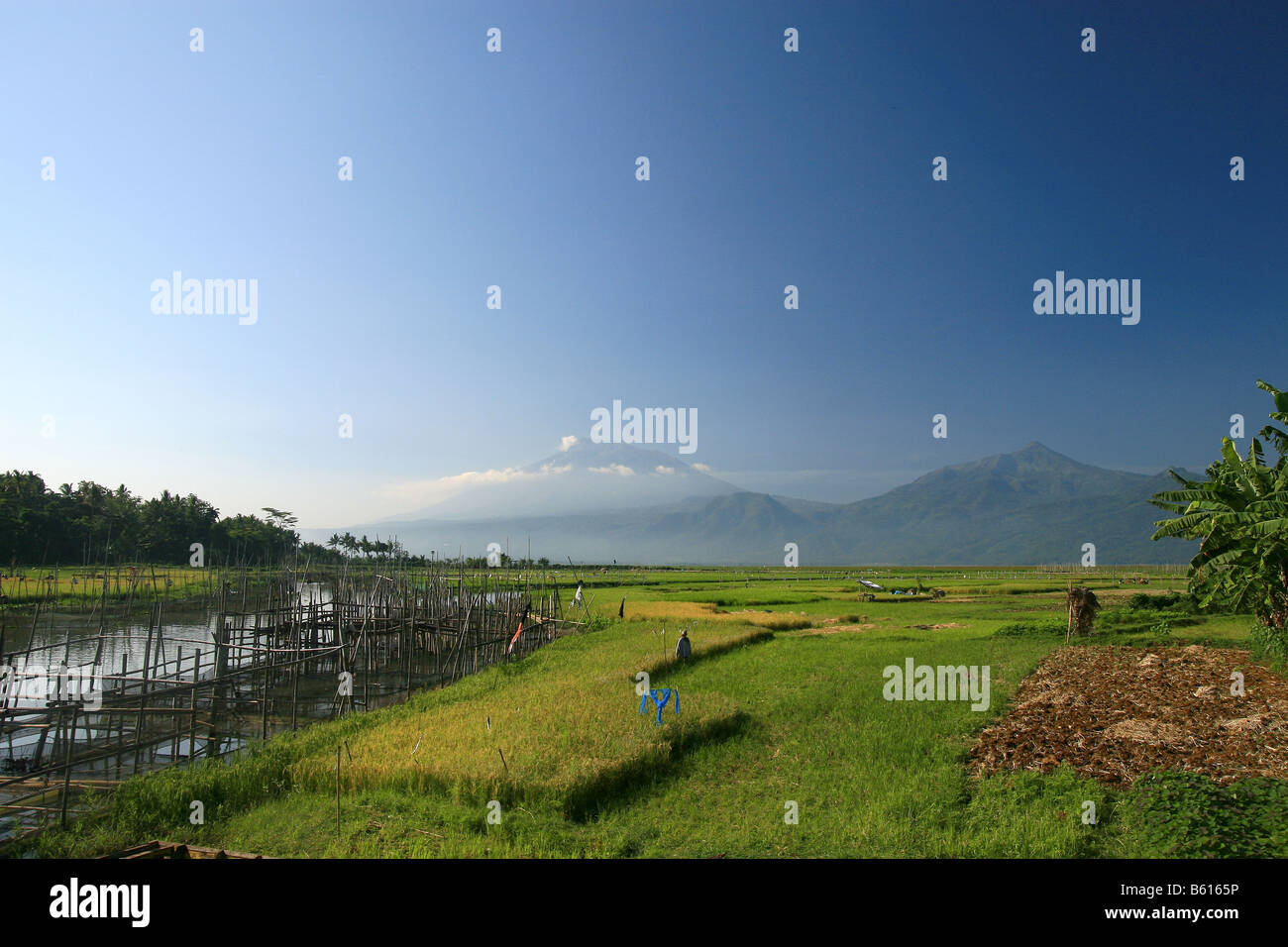 indonesia landscape, asia, mountain, Jawa Tengah Stock Photo