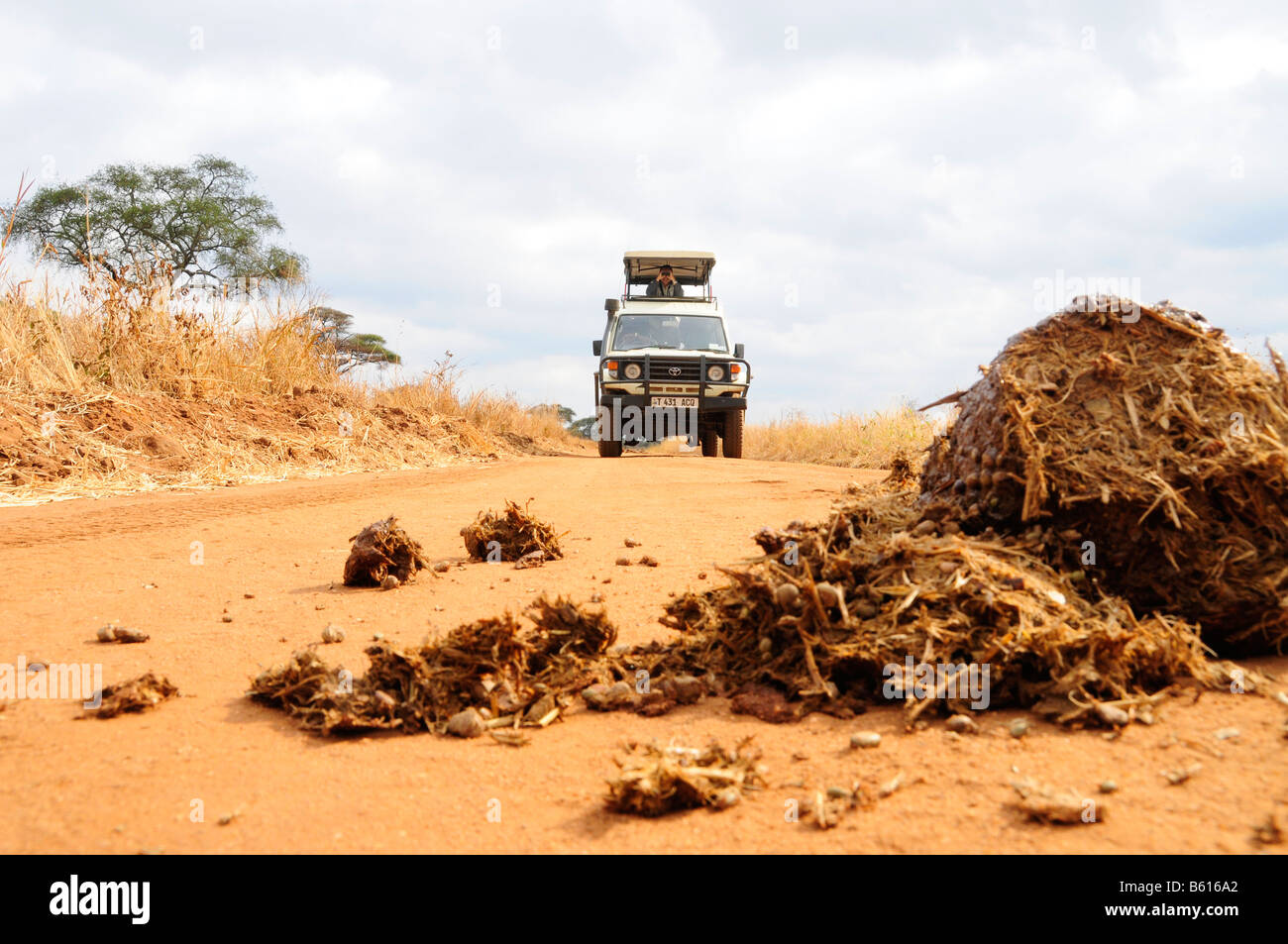 Four wheel drive vehicle with tourists in front of a pile of droppings, Tarangire-National Park, Tanzania, Africa Stock Photo