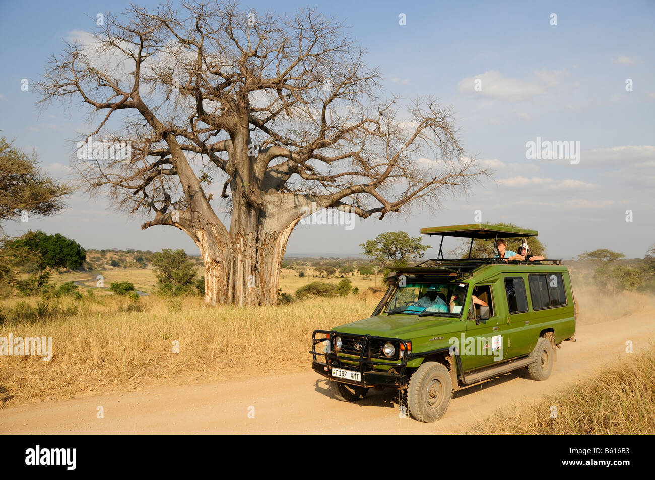 Tourists under a Baobab tree (Adansonia digitata) on safari in a four wheel drive vehicle, Tarangire-National Park, Tanzania Stock Photo