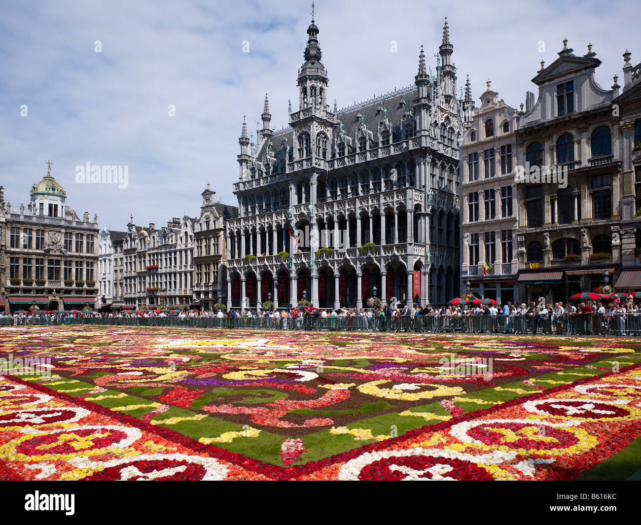 flower carpet on Grand Place with Gotic House of the King or Breadhouse Maison du Roi Brussels Brabant Belgium Stock Photo