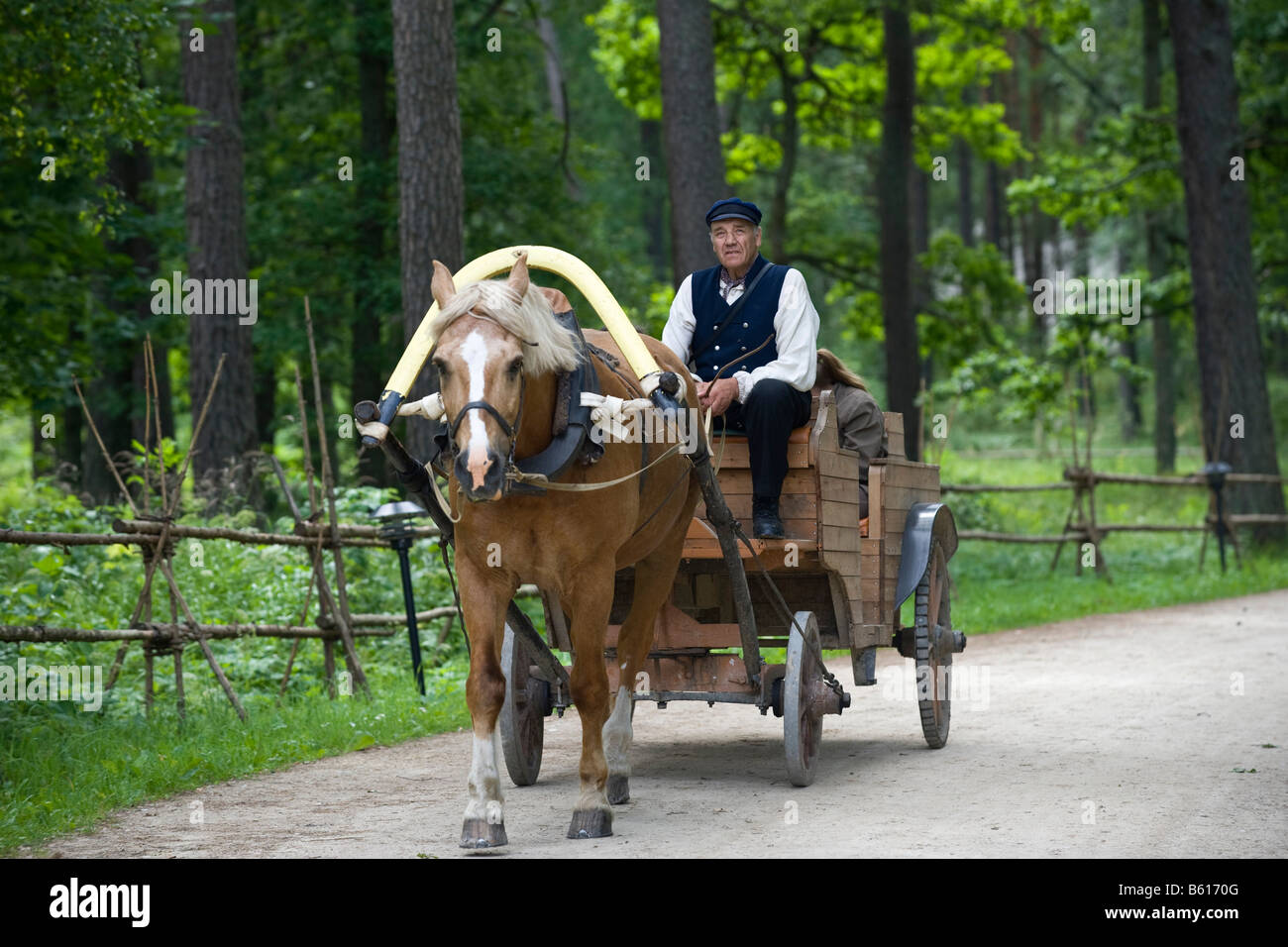 Horse drawn carriage, Open Air Museum, Tallinn, Estonia, Baltic States, Northeastern Europe Stock Photo