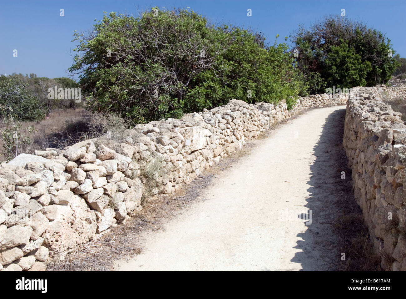 Road with stone fence in Paphos (Pafos), Cyprus Blue sky green trees. Tiled stone meter fences around walkway in shadow. Stock Photo