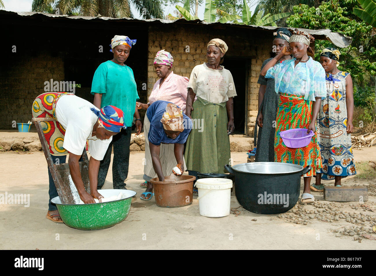 Women grating maniok or cassava into flakes, Bamenda, Cameroon, Africa Stock Photo