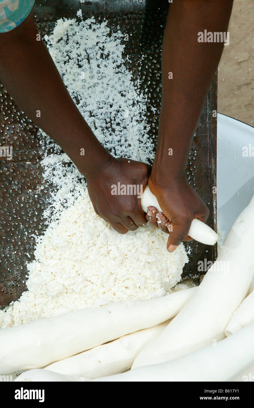Woman grating maniok or cassava into flakes, Bamenda, Cameroon, Africa Stock Photo