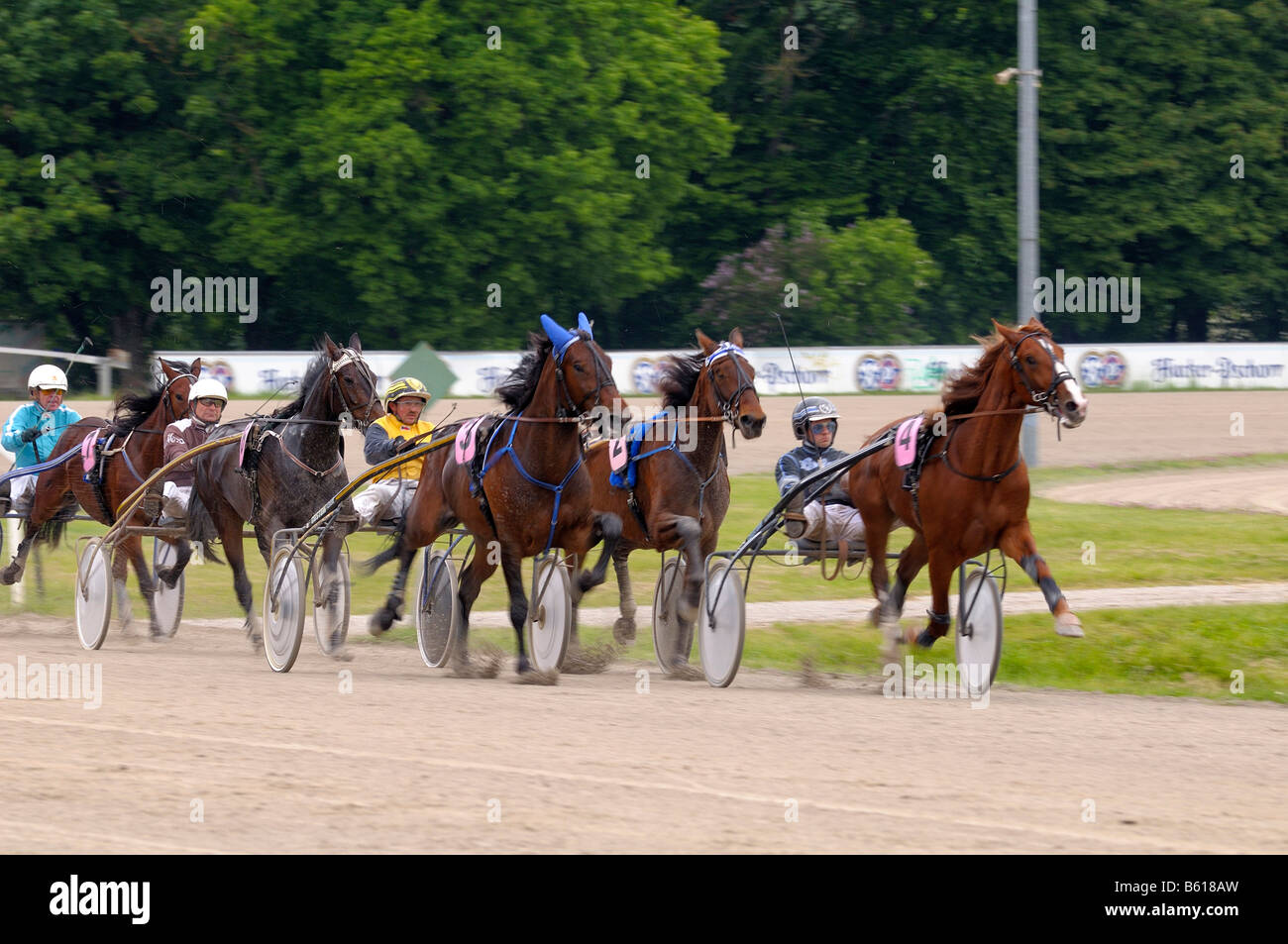 Trotting race, trotters, Daglfing, Munich, Upper Bavaria, Bavaria Stock Photo
