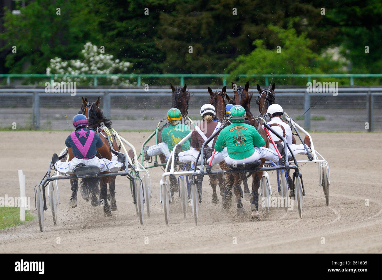 Trotting race, trotters, Daglfing, Munich, Upper Bavaria, Bavaria Stock Photo