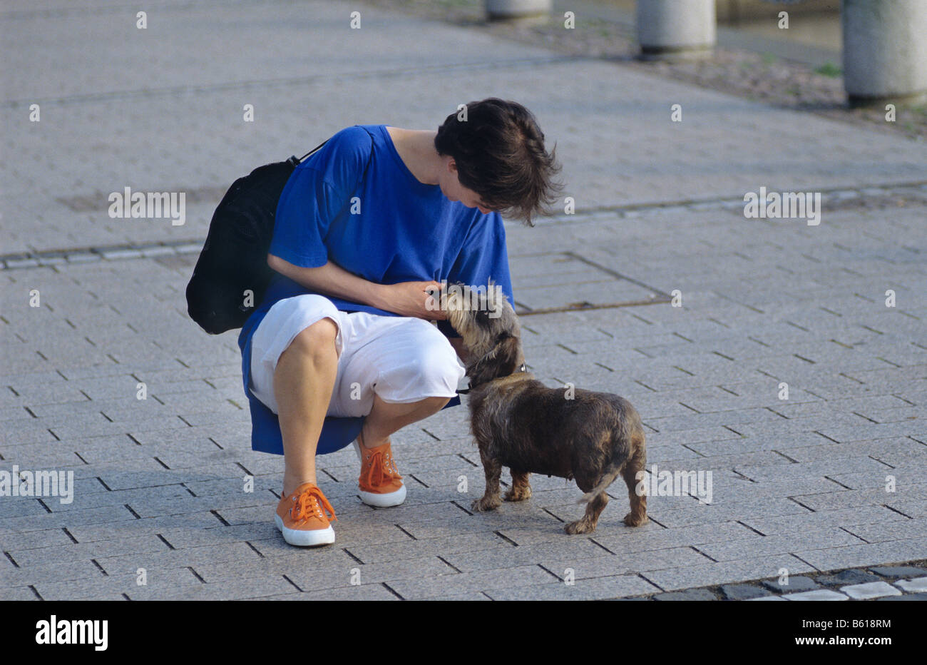 Young woman patting a Rauhhaardackel or Wirehaired Dachshund Stock Photo
