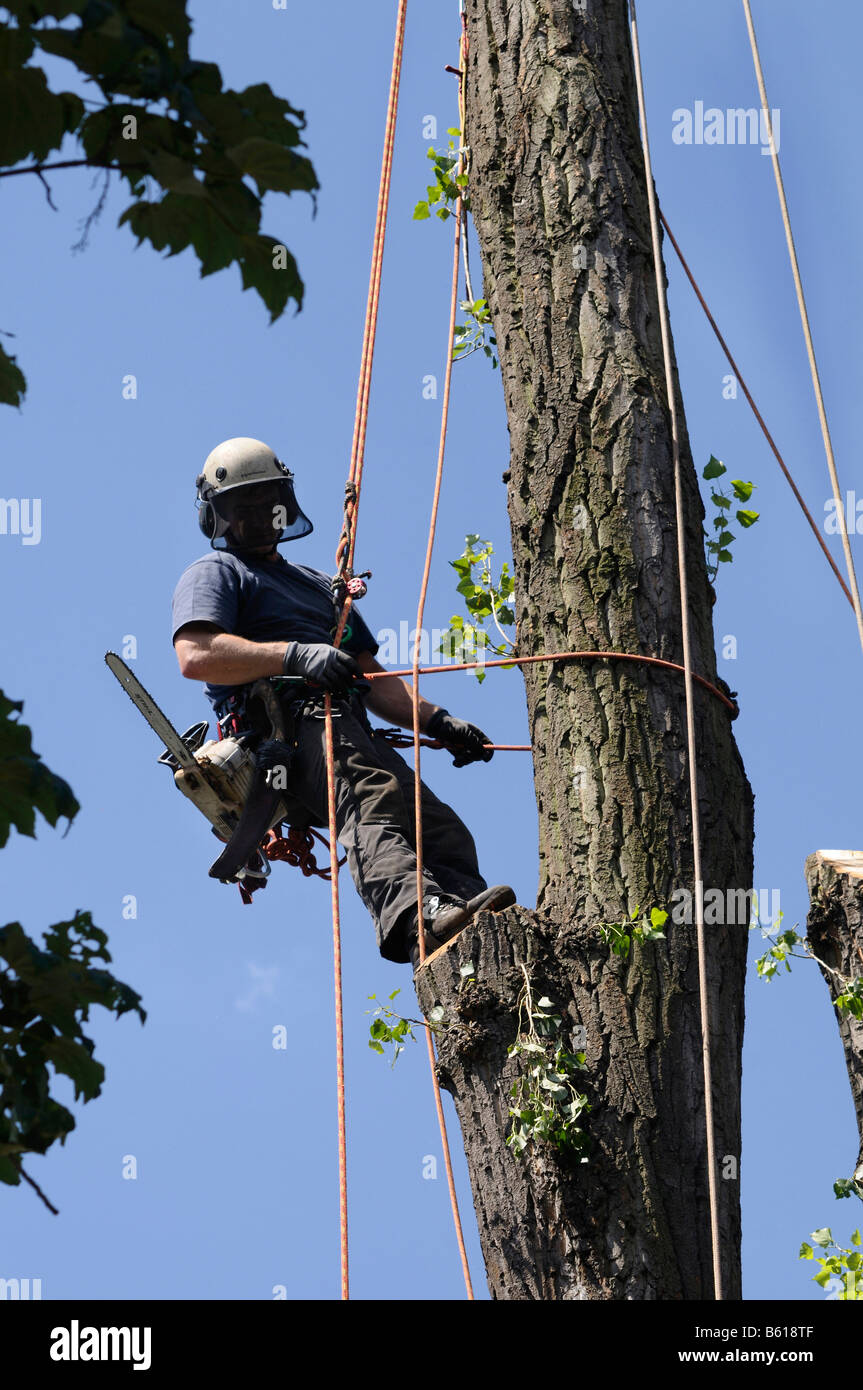 Cable tree hires stock photography and images Alamy