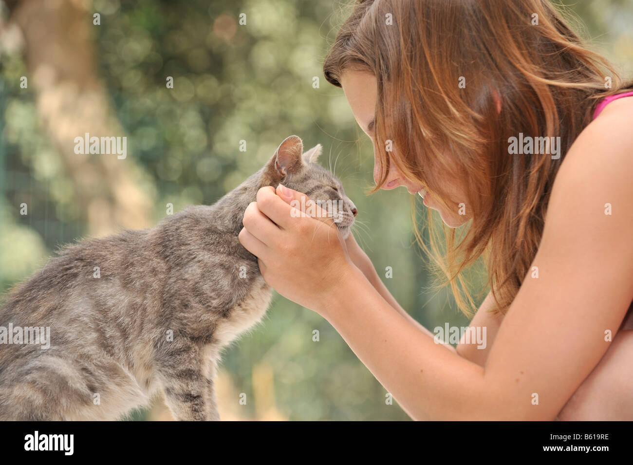 Young cat being stroked by a girl Stock Photo Alamy