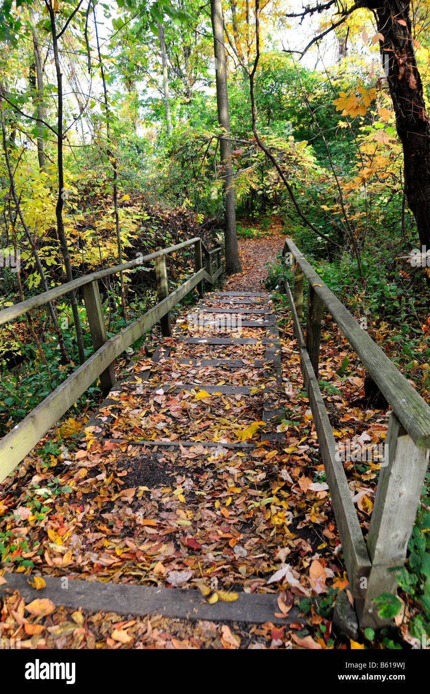 Walking trail along Niagara River Escarpment Ontario Canada in the fall Stock Photo