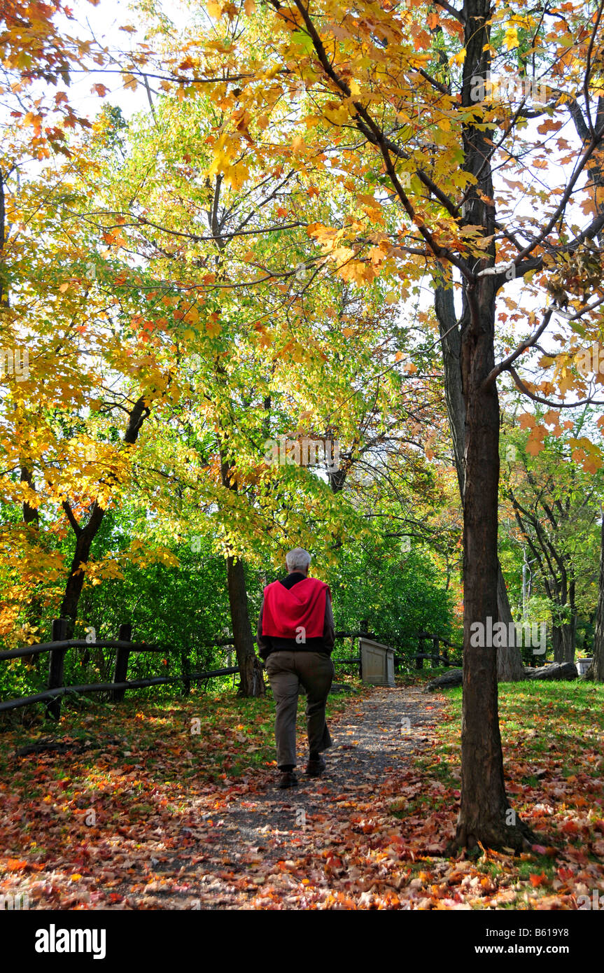 Man on Walking trail along Niagara River Escarpment Ontario Canada in the fall Stock Photo