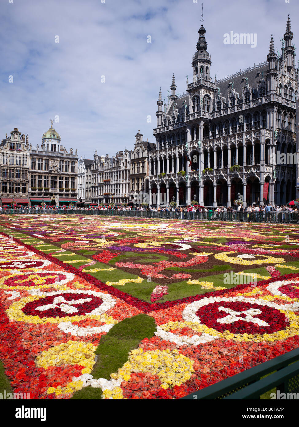 flower carpet on Grand Place with Gotic House of the King or Breadhouse Maison du Roi Brussels Brabant Belgium Stock Photo