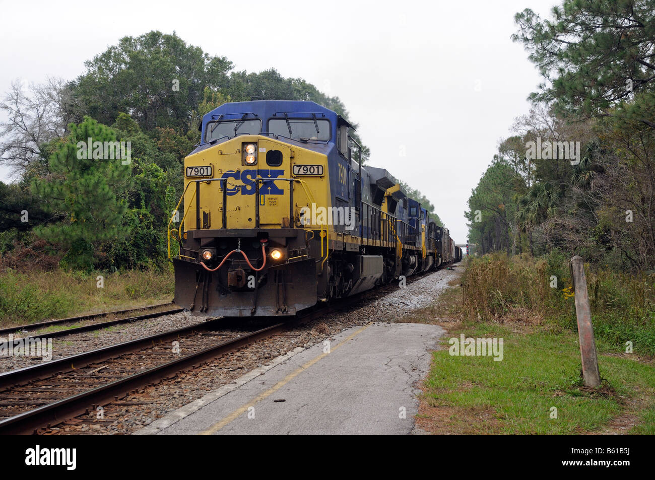 CSX freight train at DeLand Florida America USA Stock Photo Alamy