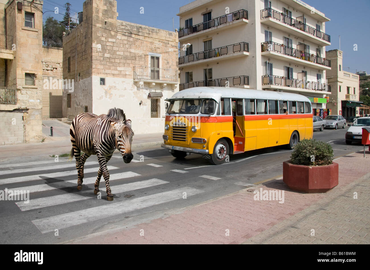 Yellow zebra crossing hires stock photography and images Alamy
