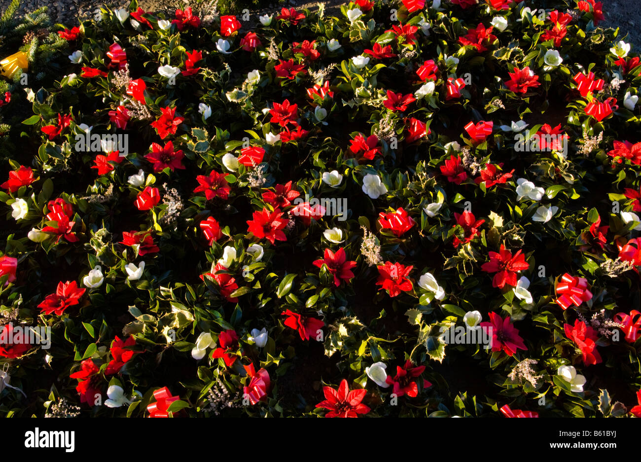 Annual Wholesale Auction Of Wreaths Holly And Mistletoe For Stock
