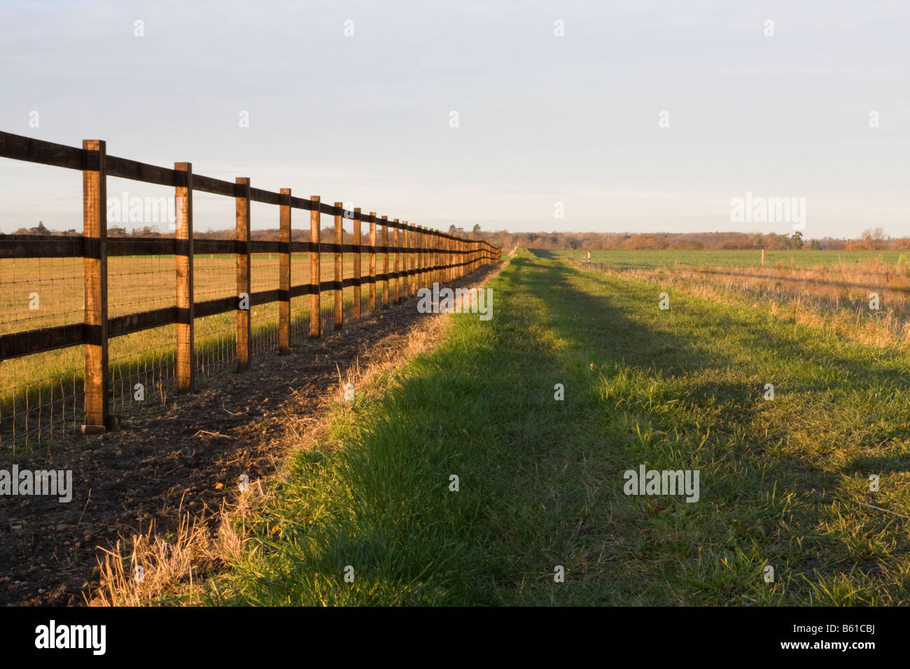 Fence Running Into The Distance Stock Photo Alamy