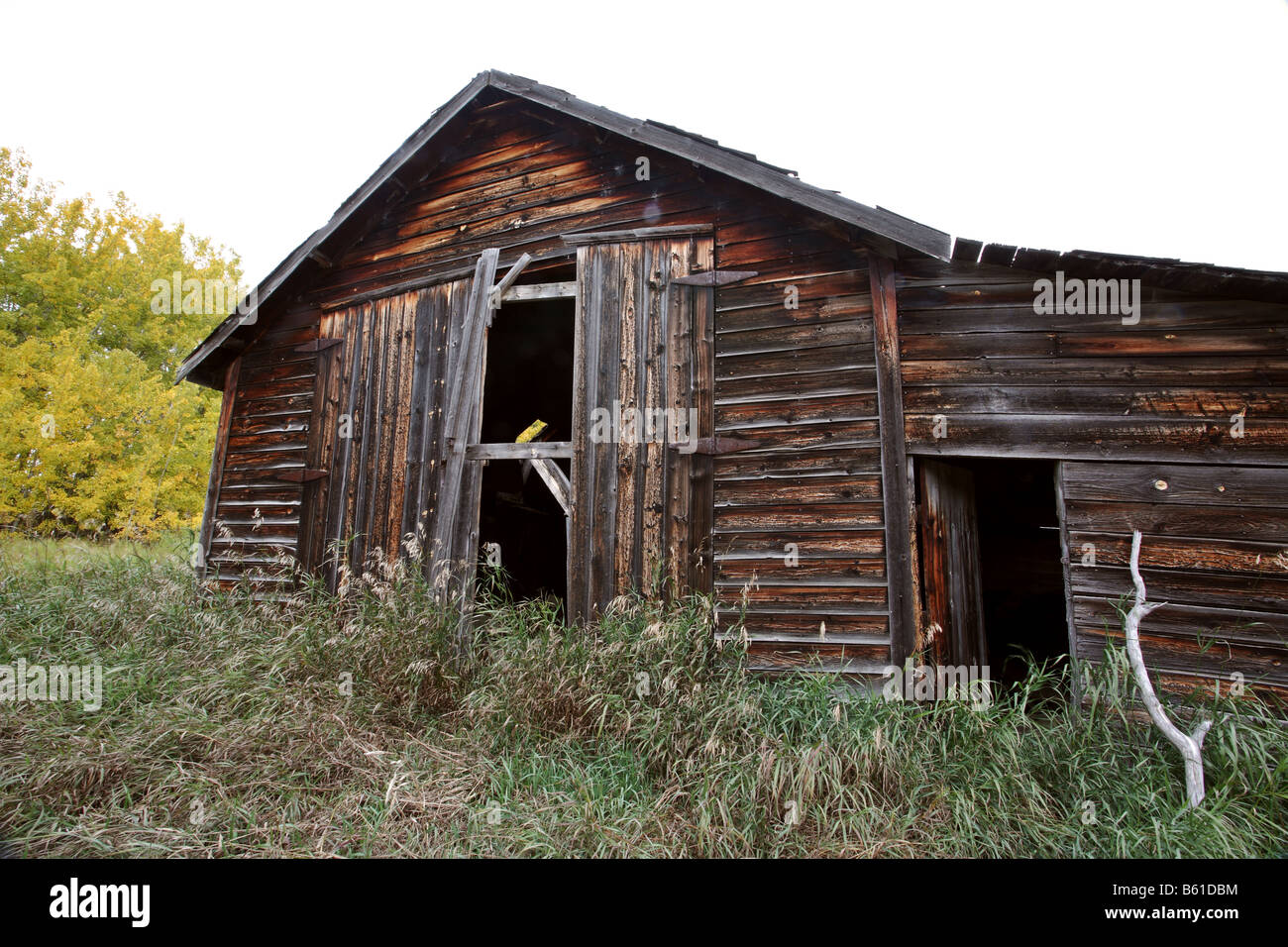 Abandoned homestead in Alberta Stock Photo Alamy