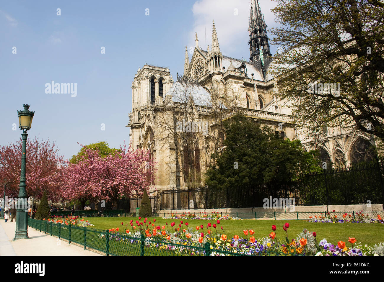 Trees and flowers bloom in a Paris spring next to the Cathedral of