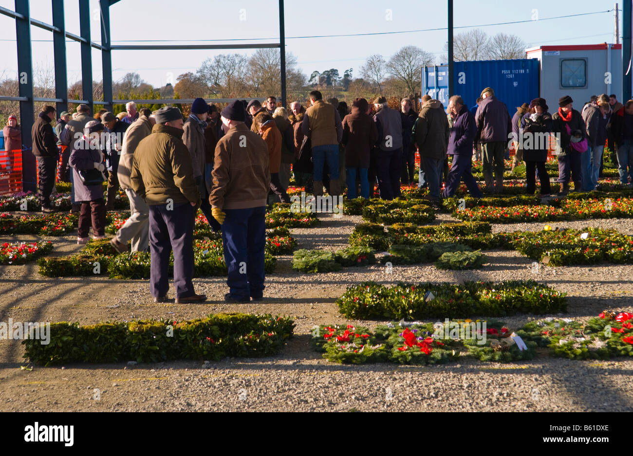 Annual Wholesale Auction Of Wreaths Holly And Mistletoe For Stock