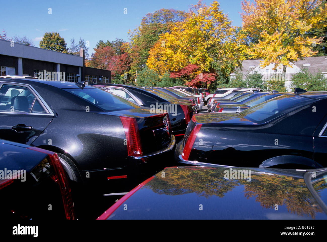 Used car dealer. Used auto lot in Connecticut, USA. Second hand automobiles parked for sale. Second hand cars.  Autumn foliage in New England Stock Photo