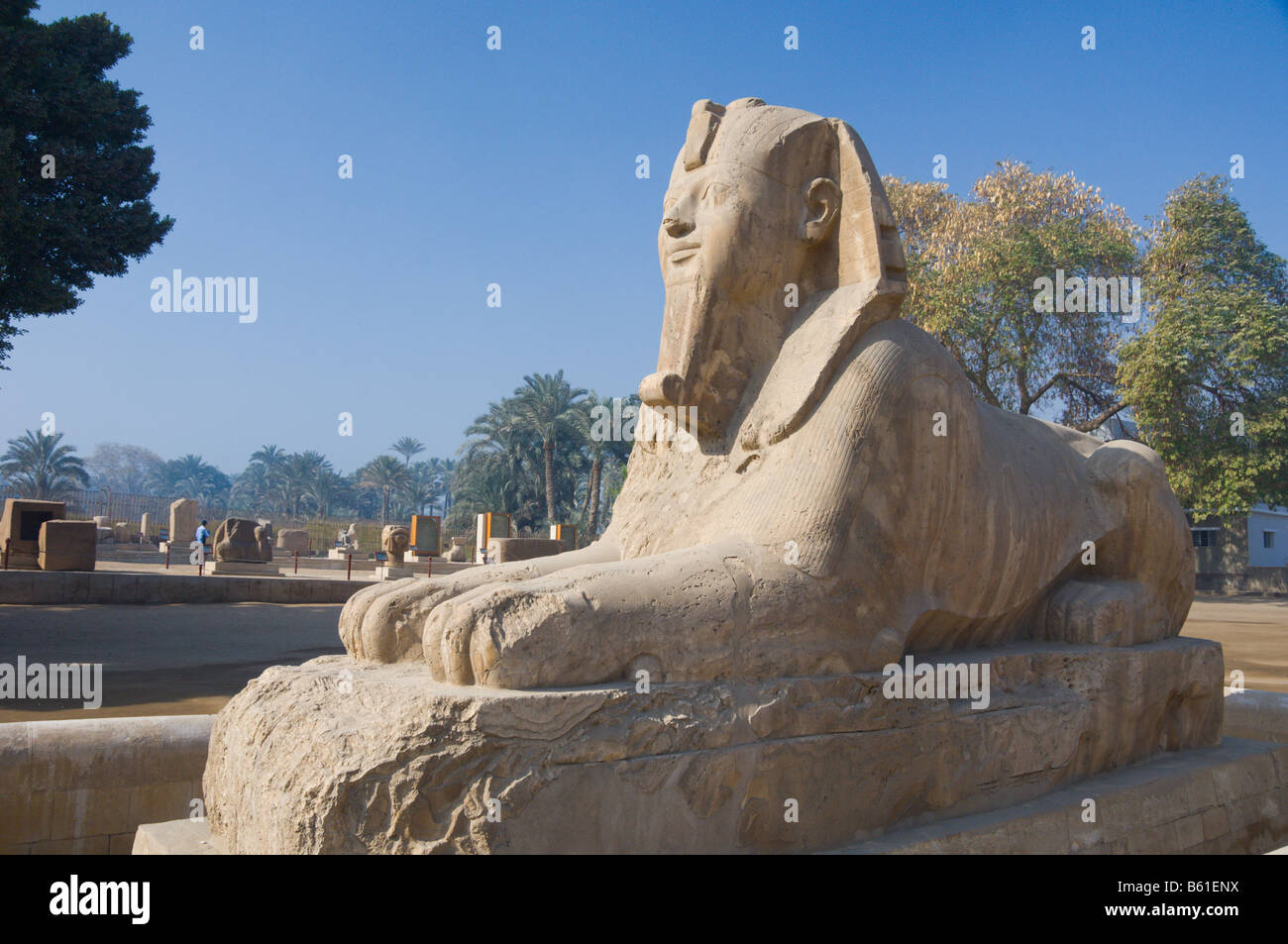 The Alabaster Sphinx at the historic site of Memphis Egypt Stock Photo ...