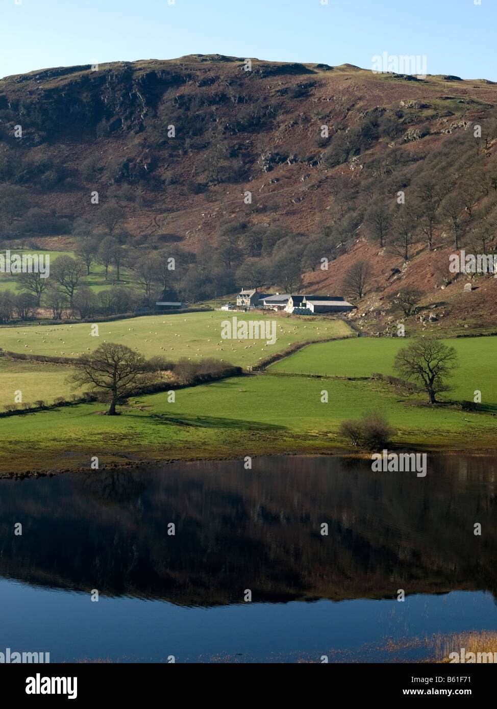 Glan Llyn Rhayader Powys Mid Wales Stock Photo