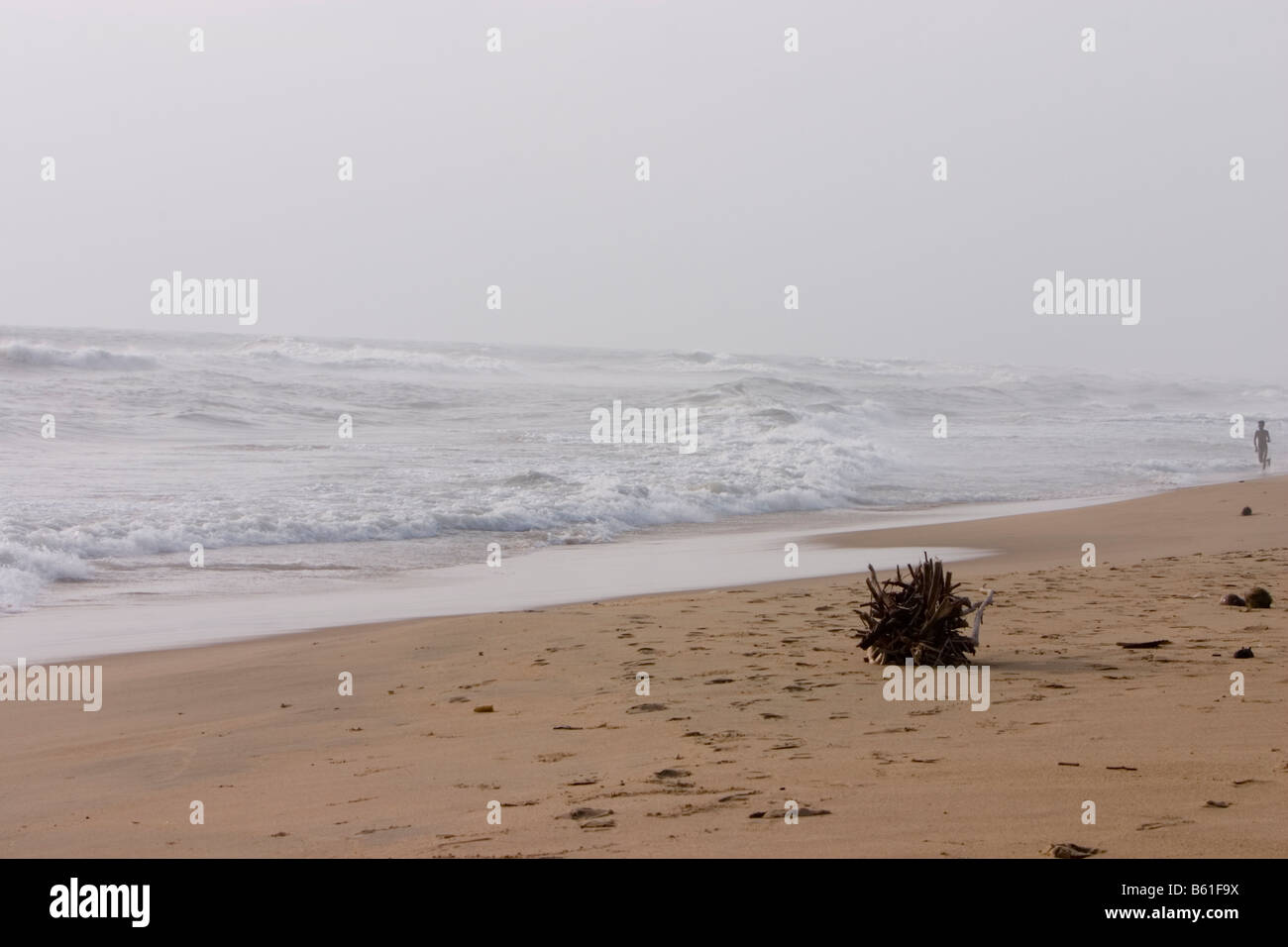 A driftwood log at the Marina Beach, Chennai. Stock Photo