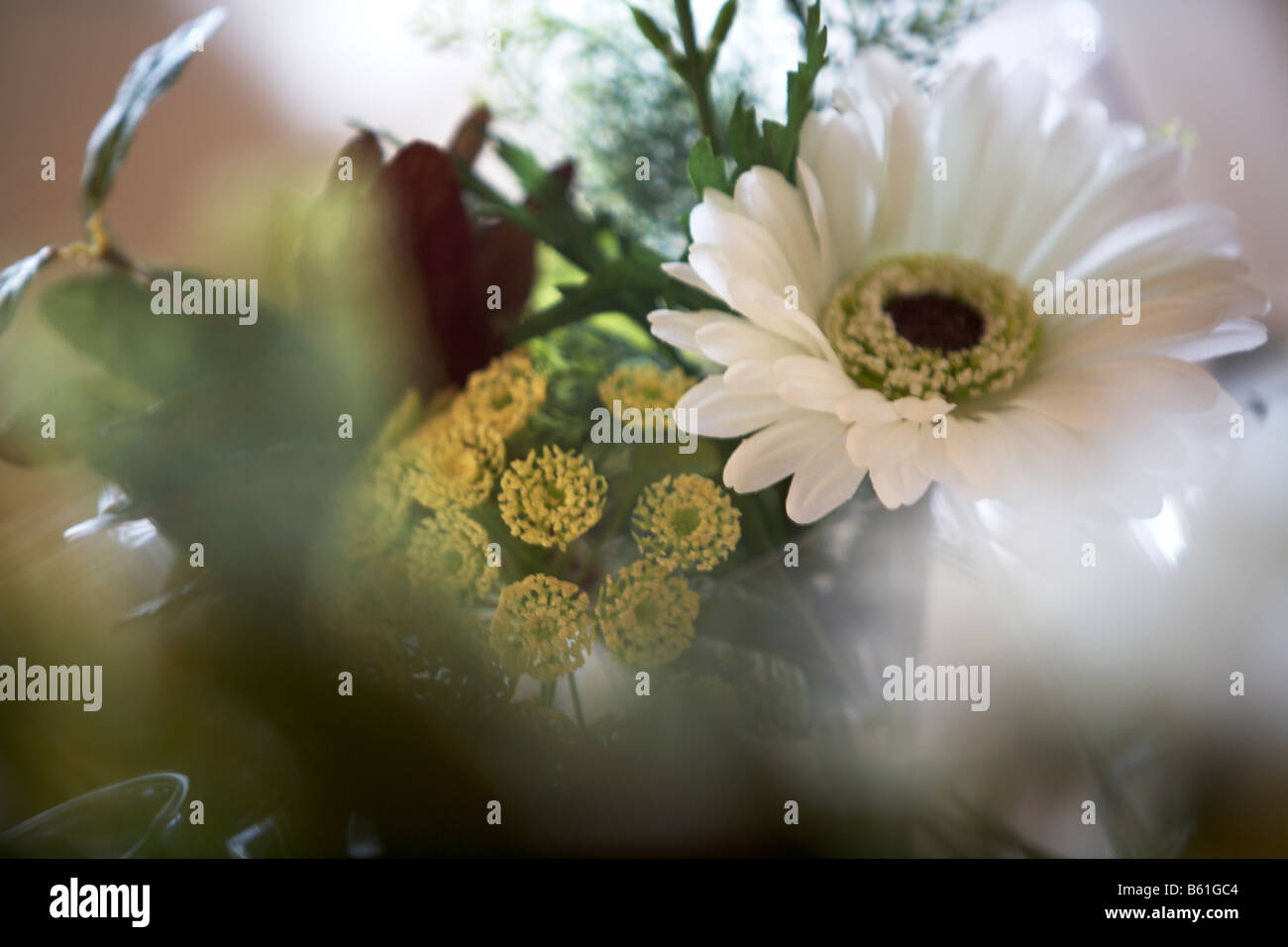 restaurant flower arrangement Stock Photo Alamy