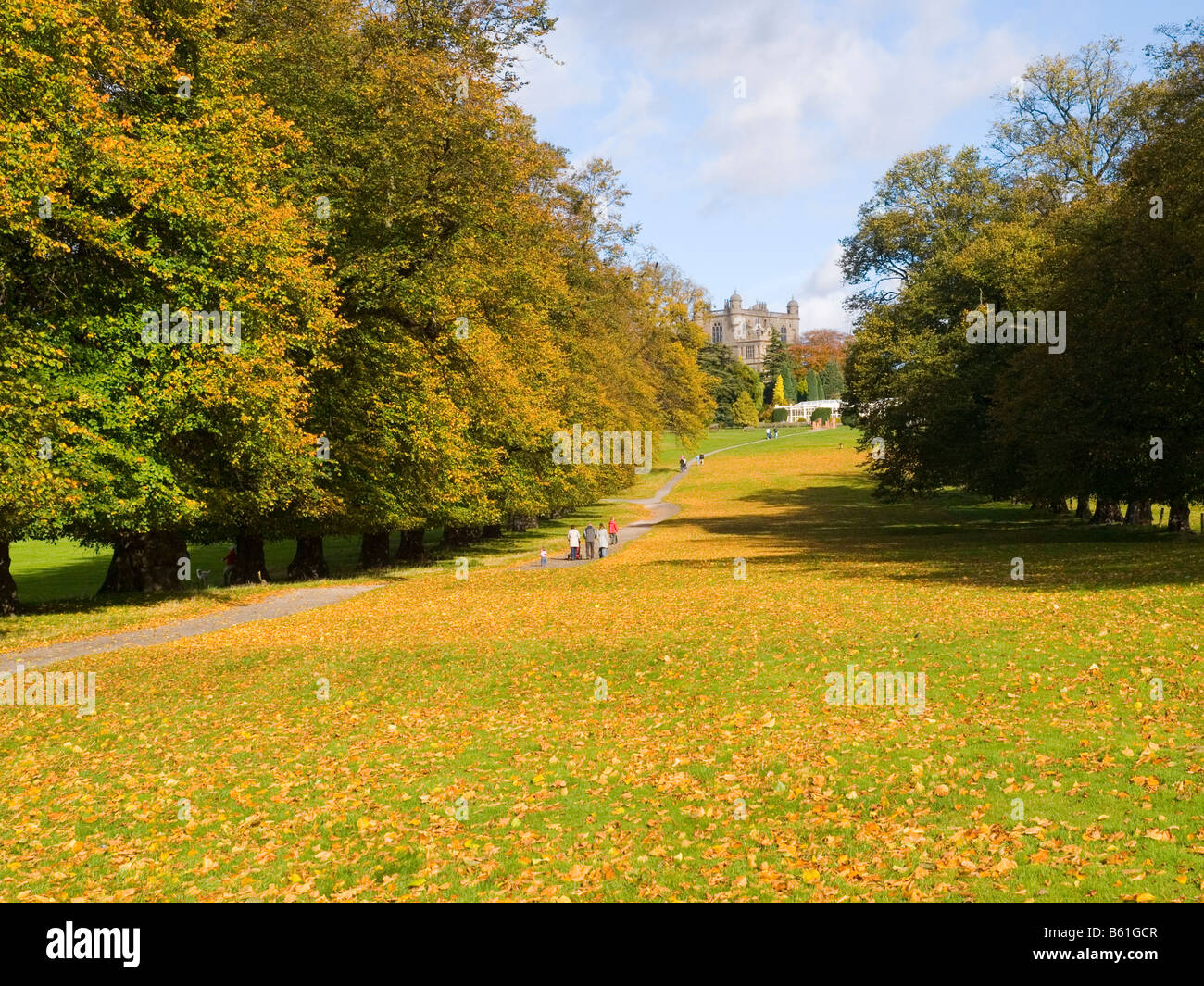 A carpet of Autumn leaves covering the grass in the grounds of Wollaton Hall and Deer Park in Nottinghamshire England UK Stock Photo