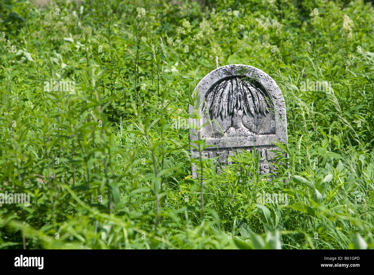 Gravestone in abandoned cemetery in state nature preserve Stock Photo